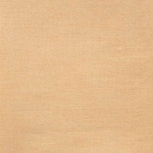 Sferra Festival Placemat Apricot Colored Fabric Swatch