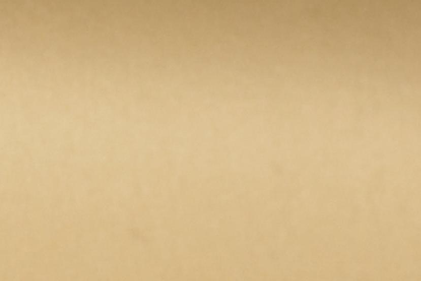 Sferra Giotto Honey Colored Fabric Swatch