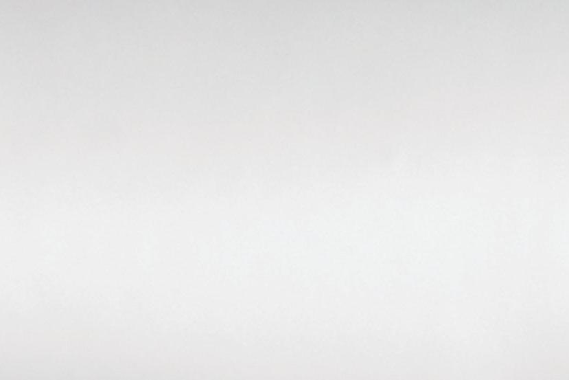 Sferra Giotto White Colored Fabric Swatch